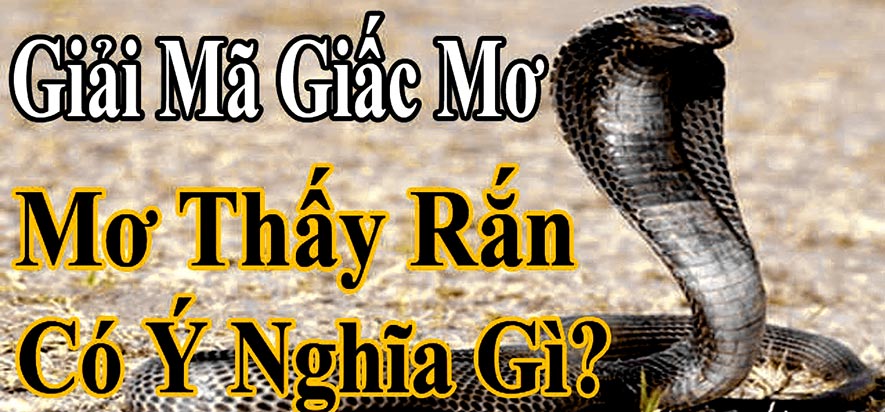 y nghia gia mo ve ran